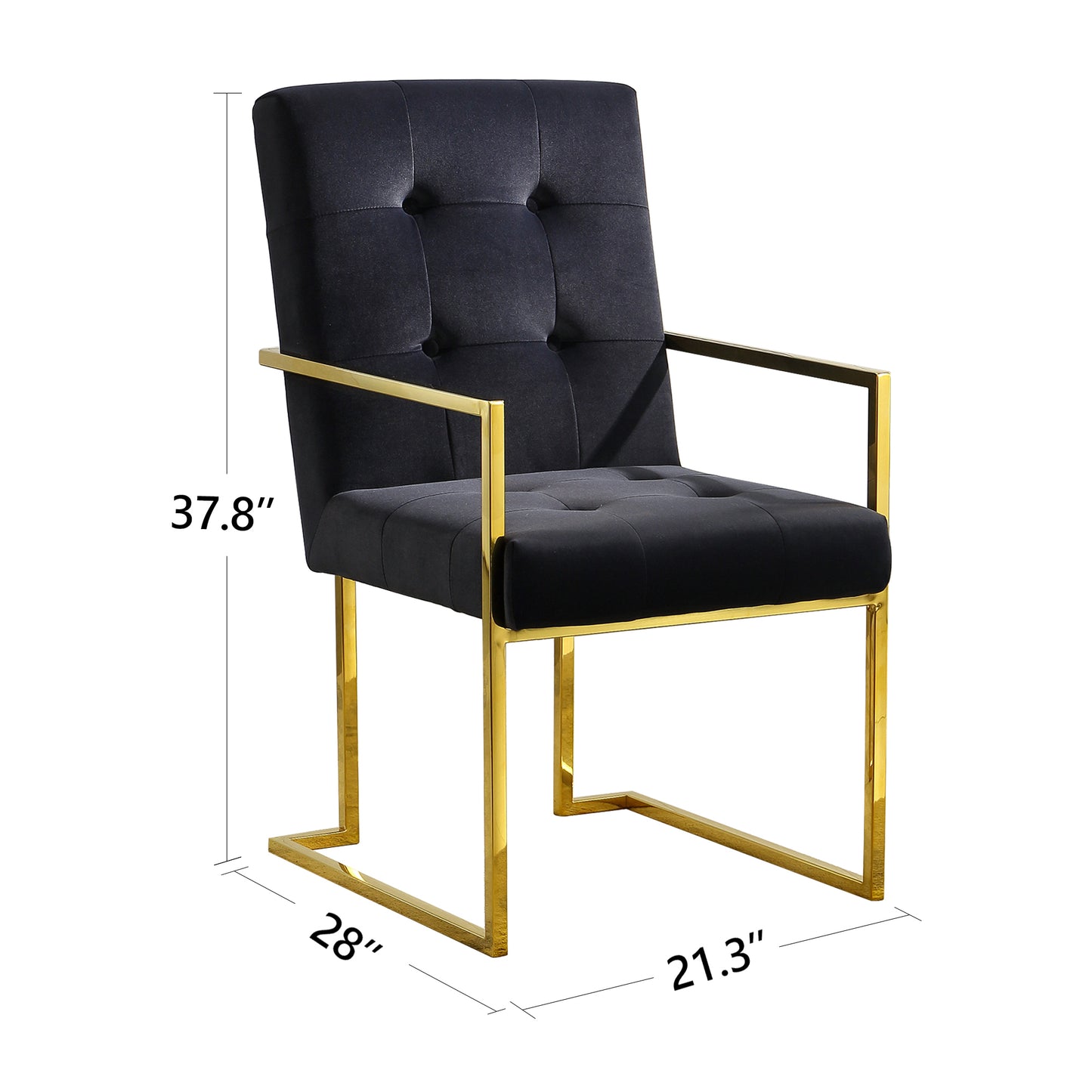 Brax Modern Velvet Arm Chair with Gold Frame - Black