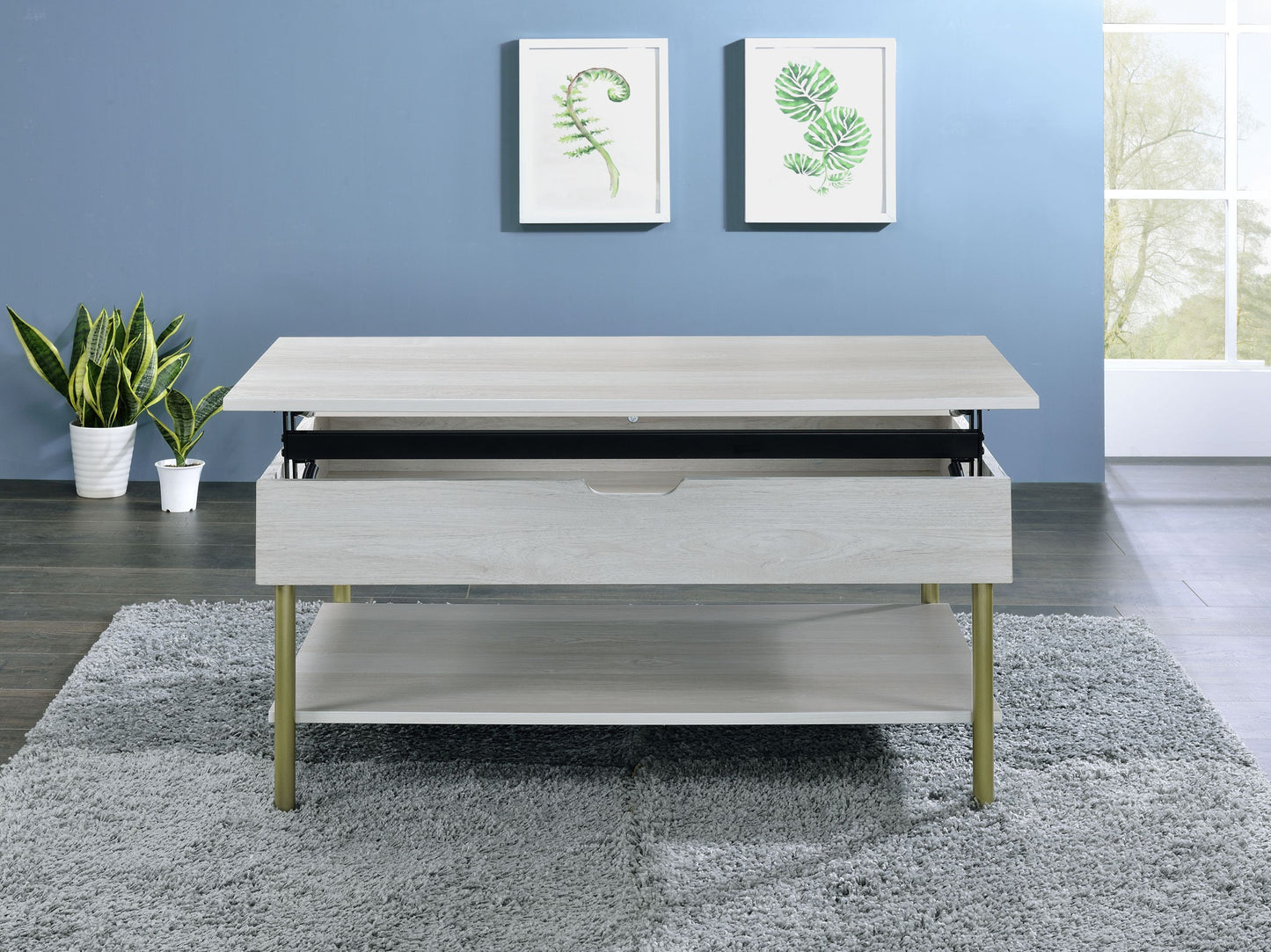 Whitman Lift-Top Coffee Table with Storage Shelf & Satin Brass Legs – White