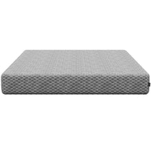 Greyson All Foam Cool Gel Waterfall-Top 10" Medium, Twin