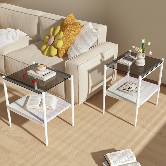 Langston Modern Side Tables with Glass Top (Set of 2)