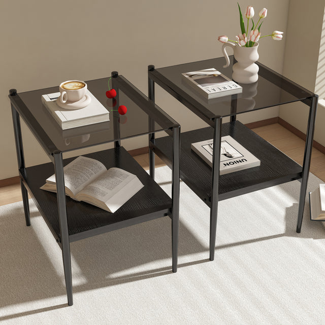 Langston Modern Side Tables with Glass Top (Set of 2)