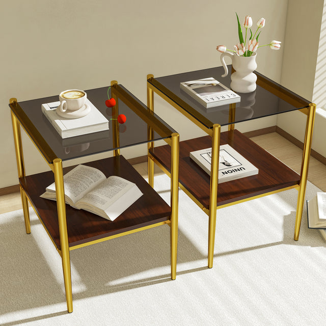 Langston Modern Side Tables with Glass Top (Set of 2)
