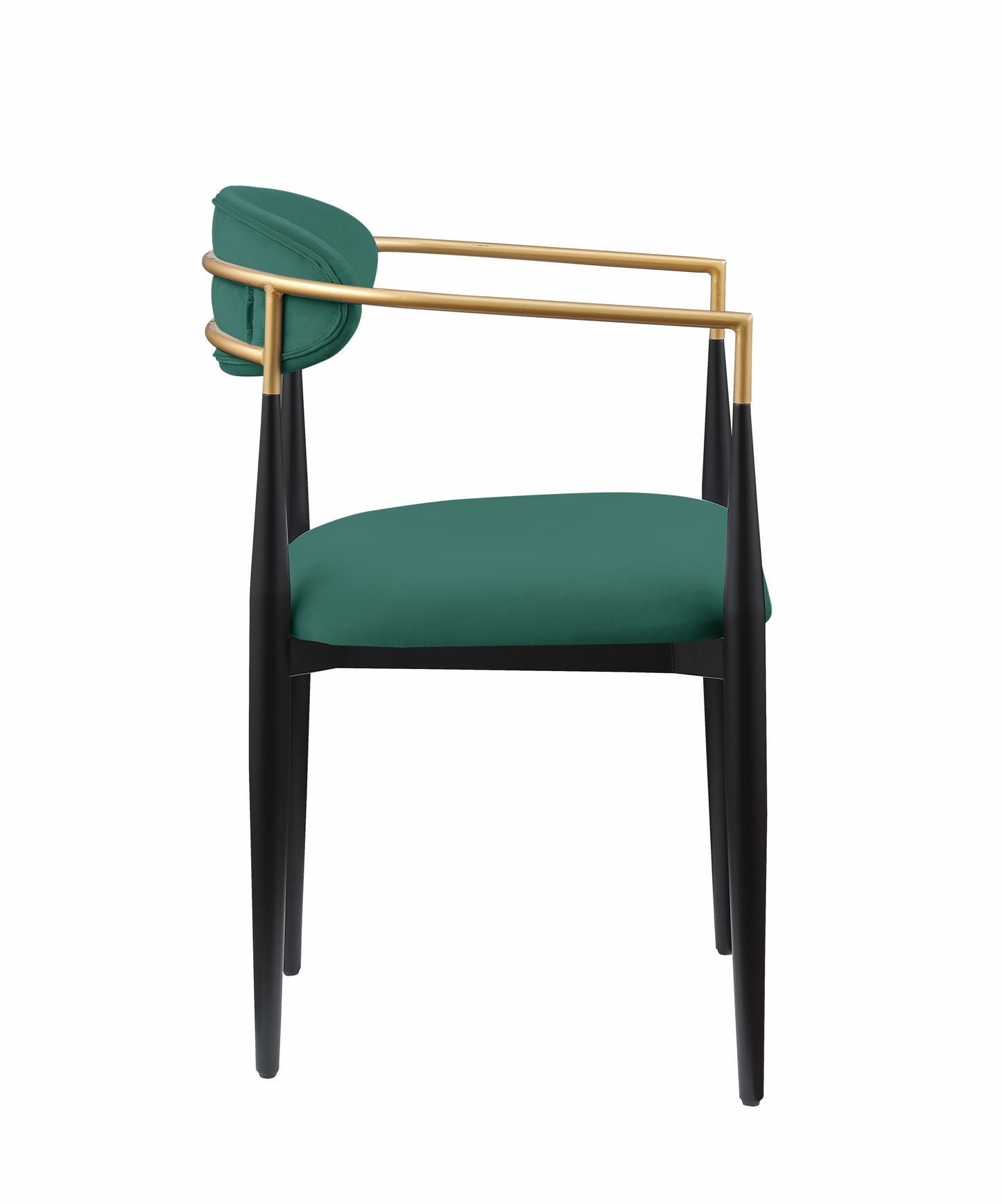 Jackson Modern Dining Arm Chair (Set of 2) Green