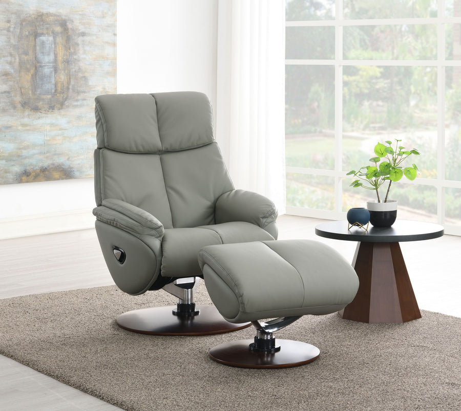 Kandoro Gray Top Grain Leather Accent Chair with Swivel & Ottoman