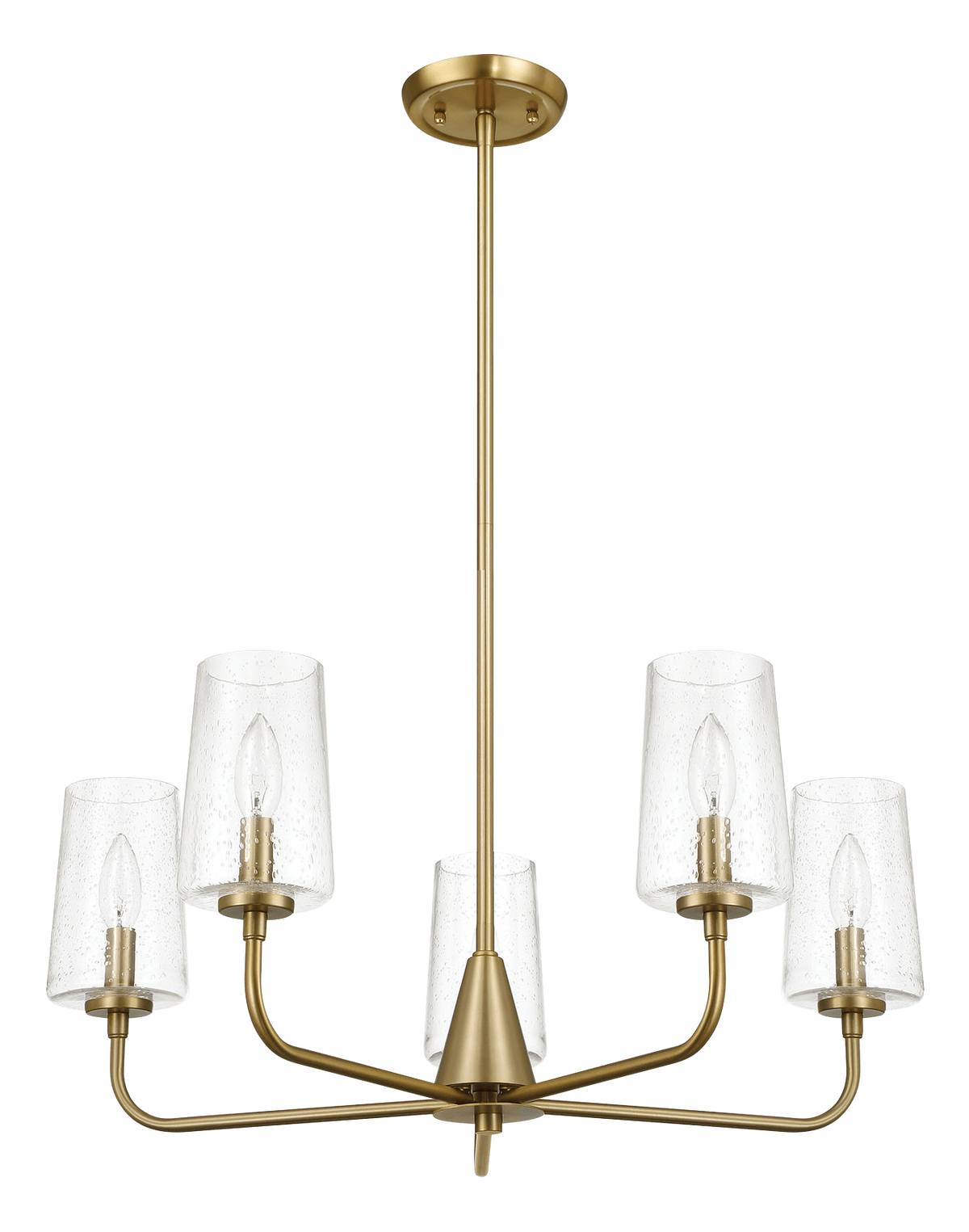 Dazzle Five Lights Chandelier With Clear Seeded Glass -Satin Brass