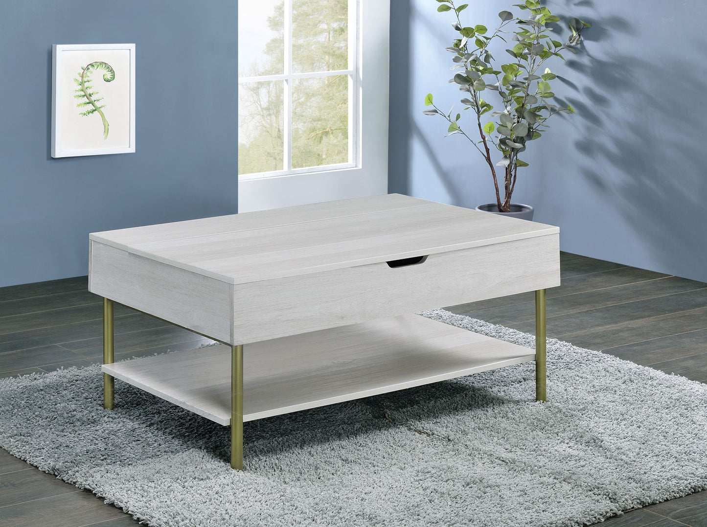 Whitman Lift-Top Coffee Table with Storage Shelf & Satin Brass Legs – White
