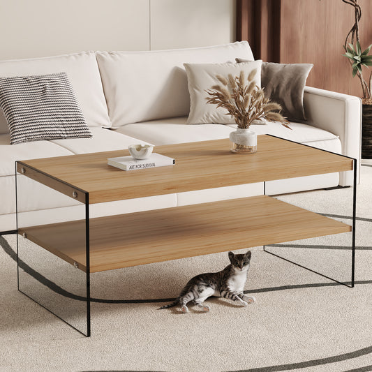 Winslet Modern Double Layer Coffee Table with Tempered Glass Side, Brown