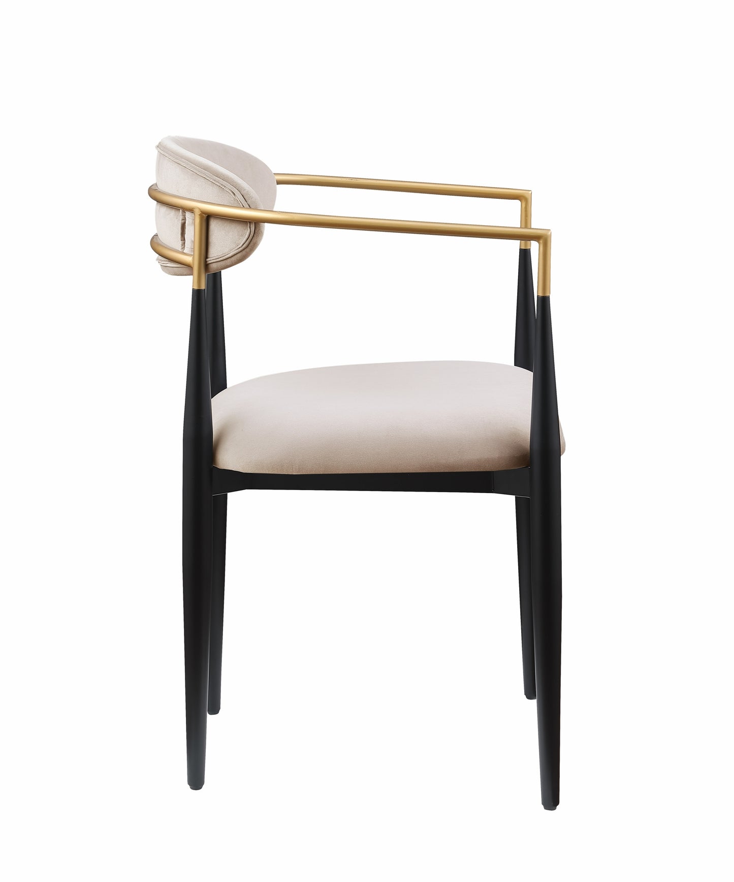 Jackson Modern Dining Arm Chair (Set of 2) Beige